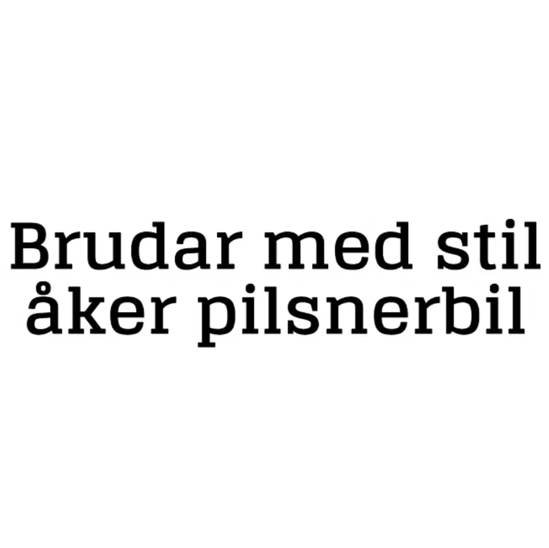 Dekal - Brudar med stil åker pilsnerbil