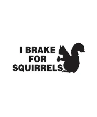 I BRAKE FOR SQUIRRELS