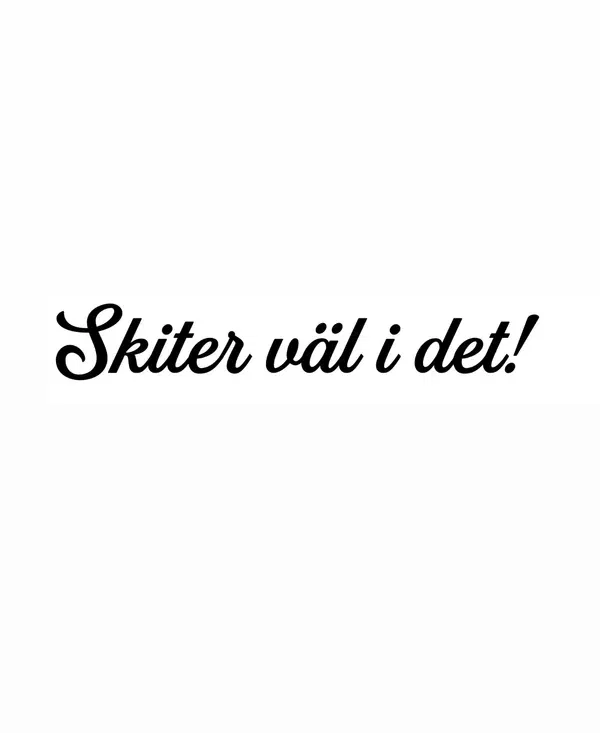 Dekal Skiter väl i det!