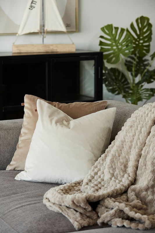 1CTQTceddKiSqO41769439056