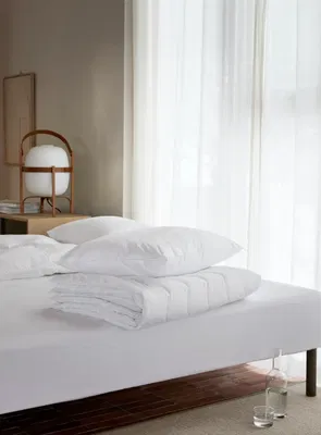 Höie Paket Hotelltäcke & Hotellkudde 800g 150x200 + 550g 50x60 Borganäs of Sweden