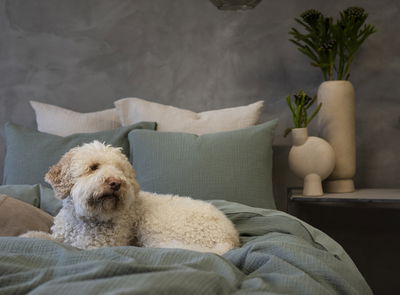 Rolling Grön Påslakan Dubbeltäcke 220x210