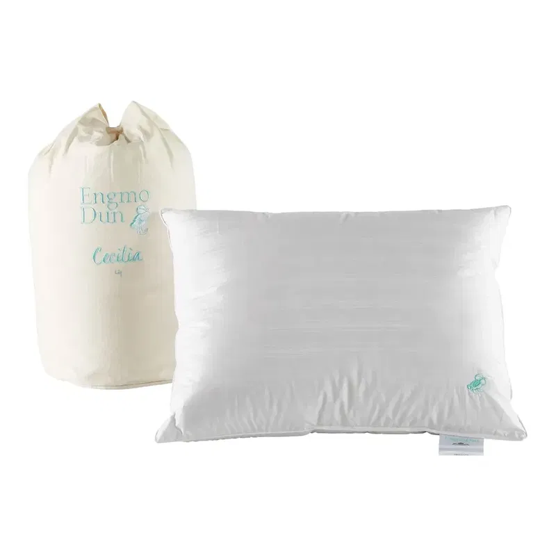 Paket Duntäcke & Dunkudde 550g 150x210 + 500g 50x60 Engmo Dun UZmYkMFr6RDPiVb1761551290