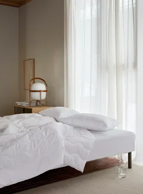 Höie Paket Hotelltäcke & Hotellkudde 800g 150x200 + 550g 50x60 Borganäs of Sweden