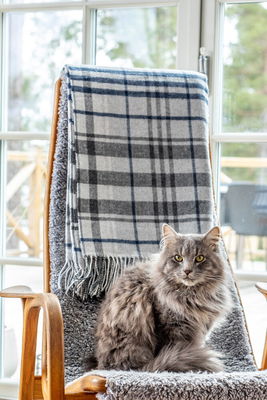 Pläd Tanger Grå Rutig 130x170 cm Kosta Linnewäfveri