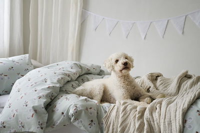 Plingeling Grön Bäddset Enkeltäcke 150x210 Borganäs of Sweden