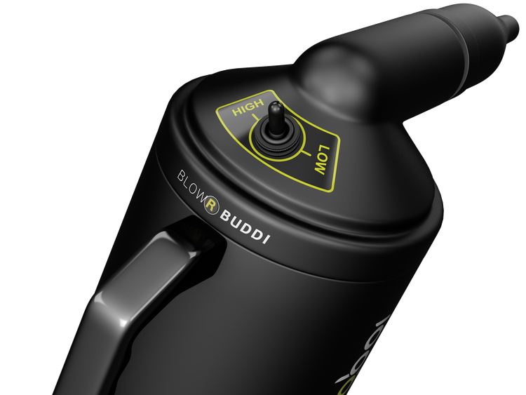 BigBoi BlowR - Buddi