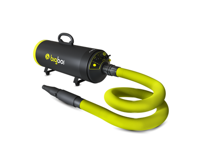 BigBoi BlowR - Mini+