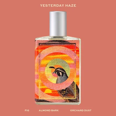 Yesterday Haze Imaginary authors