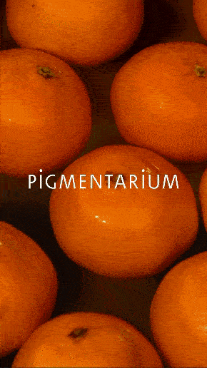 Oratorio Pigmentarium
