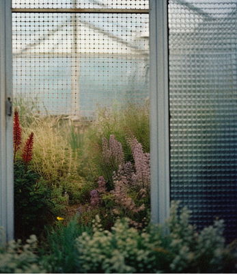 Kerzon Fleur de romarin