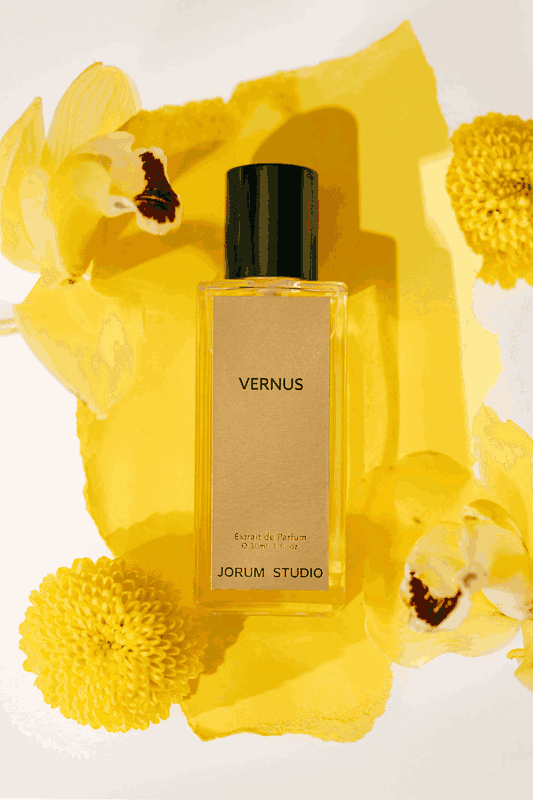 Vernus Jorum Studio