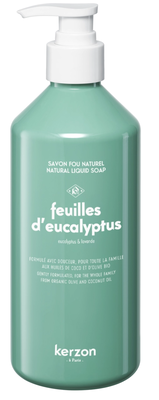 Feuilles d´eucalyptus