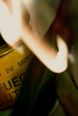 TDM fuego futuro detailery