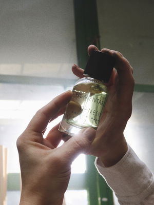 Pigmentarium genesis detailery köp online!