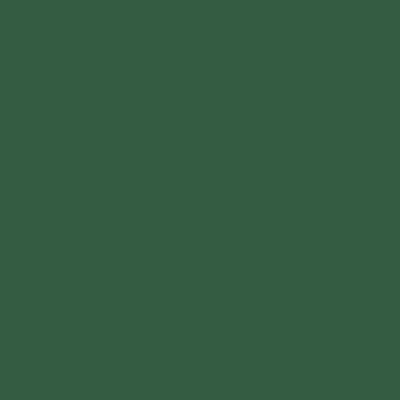 Färgprov Hunter Green 249 Tombow ABT Dual Brush
