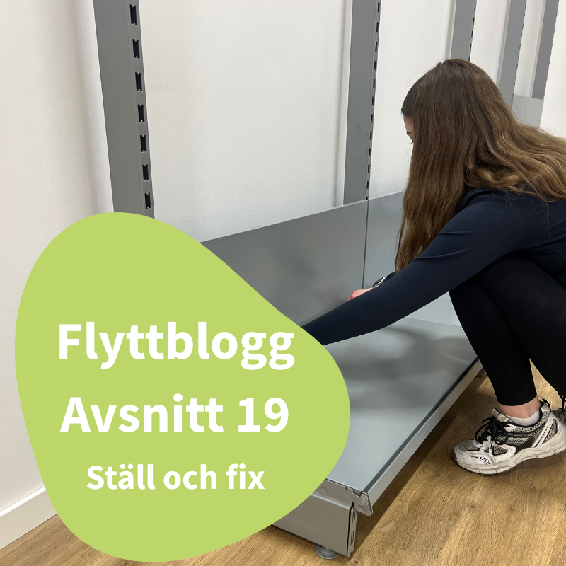 Flyttblogg - Avsnitt 19 - Sena kvällar