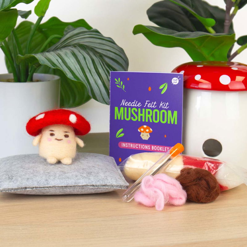 Nåltovning svamp inspiration med DIY-kit Tovning Svamp