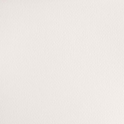 Färgprov (swatch) Cotman akvarellfärg Chinese White