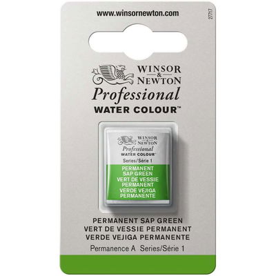 Förpackning med Winsor & Newton Professional akvarellfärg Permanent Sap Green halvkopp