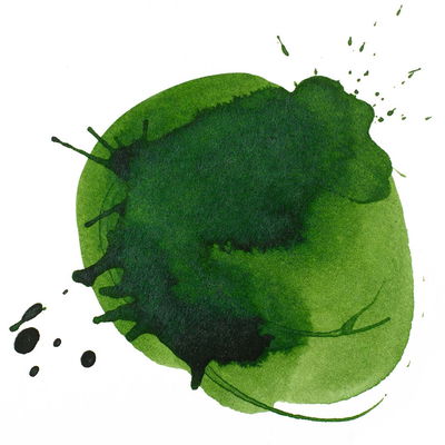 Hooker’s Green Deep Hue Permanent färgprov Liquitex Acrylic Ink 30 ml