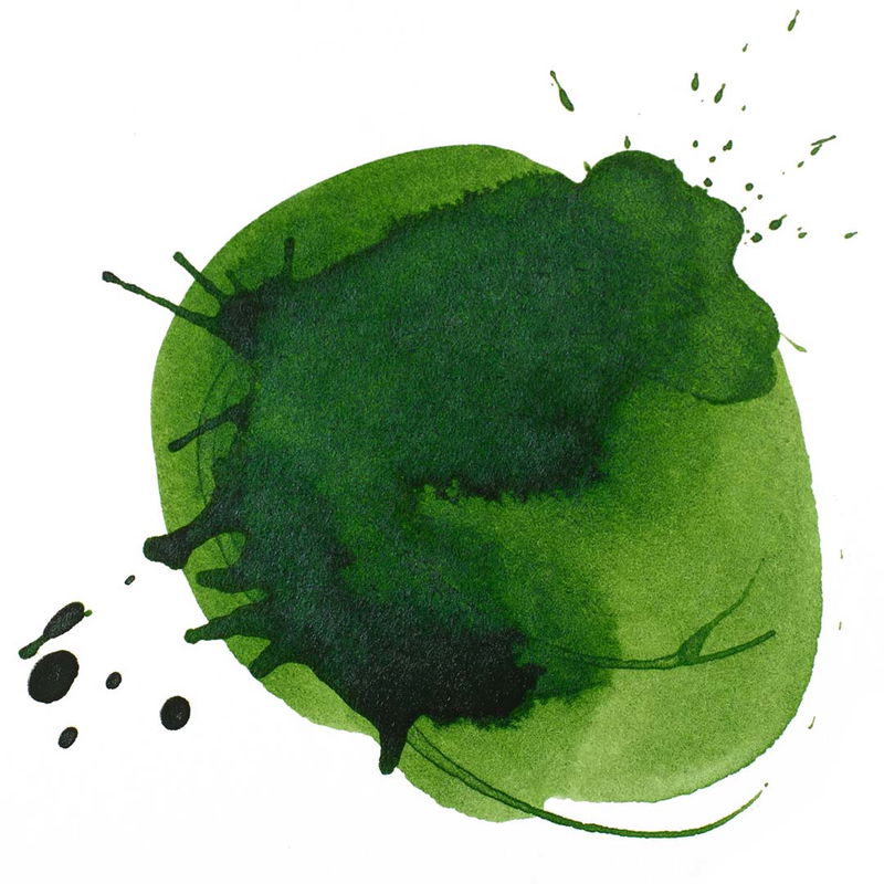 Hooker’s Green Deep Hue Permanent färgprov Liquitex Acrylic Ink 30 ml