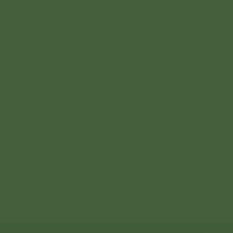 STABILO 88 Olive Green 63 Färgprov