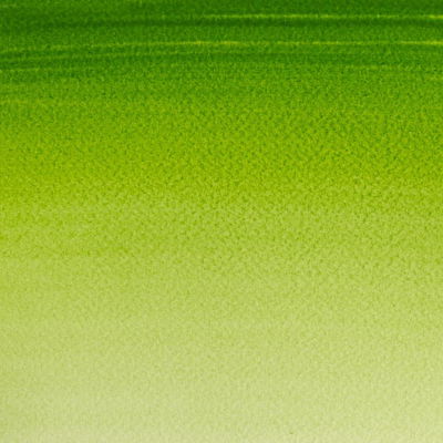 Färgprov (swatch) Cotman akvarellfärg Sap Green