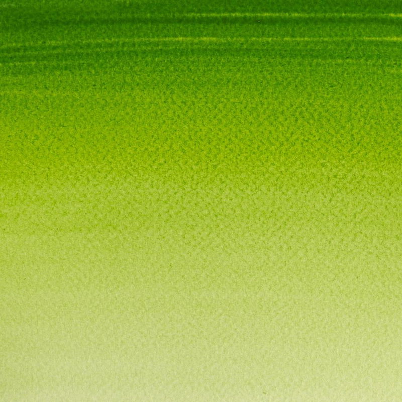 Färgprov (swatch) Cotman akvarellfärg Sap Green