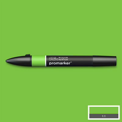 Winsor & Newton Promarker Bright Green G267 marker med färgprov och bakgrund i samma ton