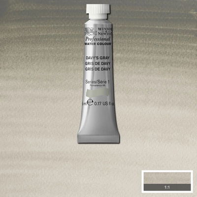 Färgprov och förpackning, Davy's Gray 5 ml tub Winsor & Newton Professional Water Colour Davy's Gray i 5 ml tub som visas mot målad bakgrund i samma färg.
