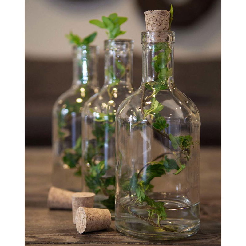 Dekorativa glasflaskor med kork och gröna kvistar, klar flaska 250 ml levereras med kork