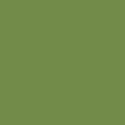Färgprov Dark Olive 158 Tombow ABT Dual Brush