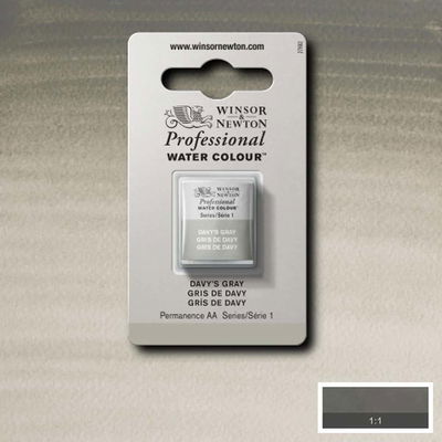 Färgprov och förpackning, Davy's Gray halvkopp Winsor & Newton Professional Water Colour Davy's Gray i halvkopp som visas mot målad bakgrund i samma färg.