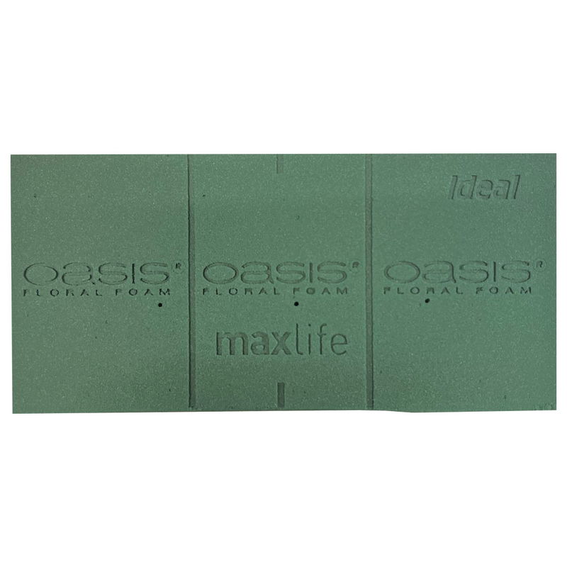Oasis Stickmassa Ideal Maxlife 23x11x8 cm
