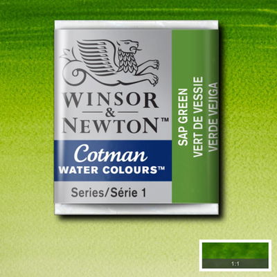 Winsor & Newton Cotman akvarellfärg halvkopp, Sap Green