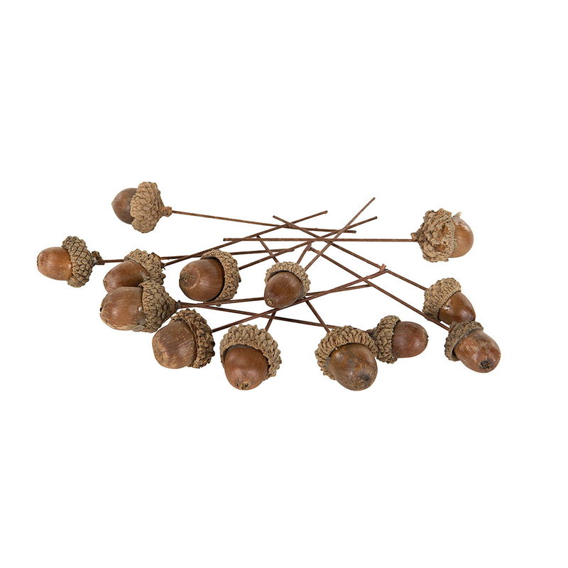 Torkade ekollon på pinne för dekoration