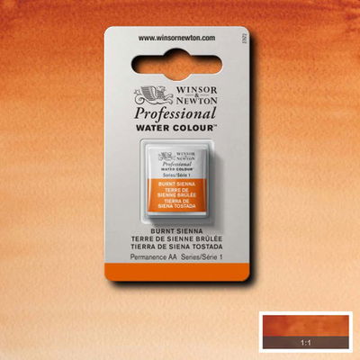 Winsor & Newton Professional Water Colour Burnt Sienna i halvkopp som visas mot målad bakgrund i samma färg.