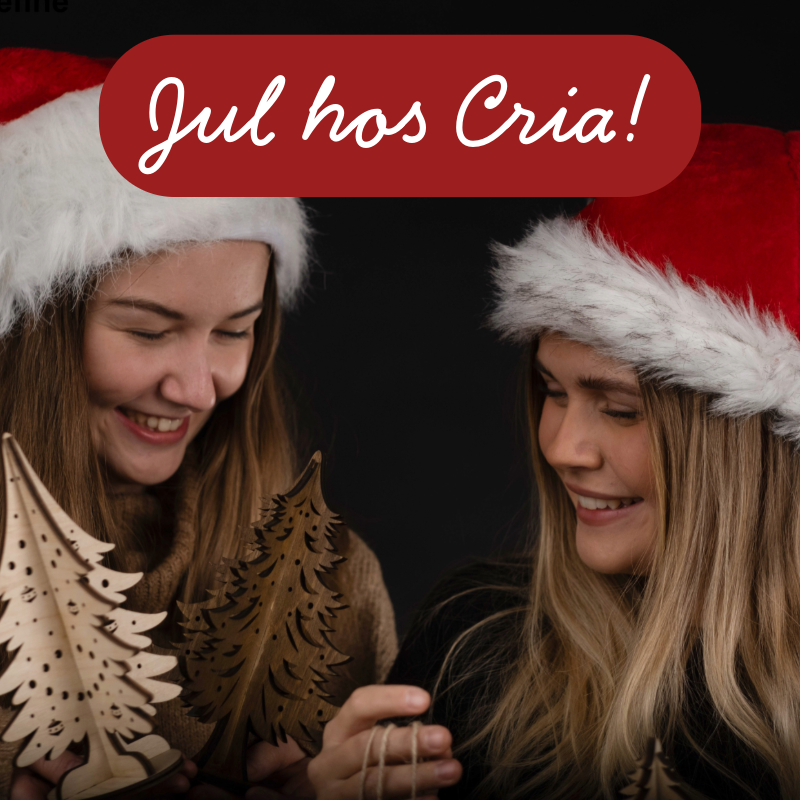 Julbild på Emelie och Josefine på Cria