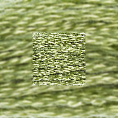 Närbild av separerbara 6 trådar bomull Pine Green 3364