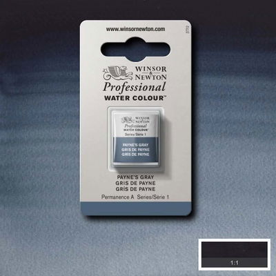 Winsor & Newton Professional Water Colour Payne's Gray i halvkopp som visas mot målad bakgrund i samma färg.