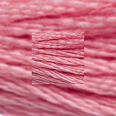 Närbild av separerbara 6 trådar bomull Light Dusty Rose 3354