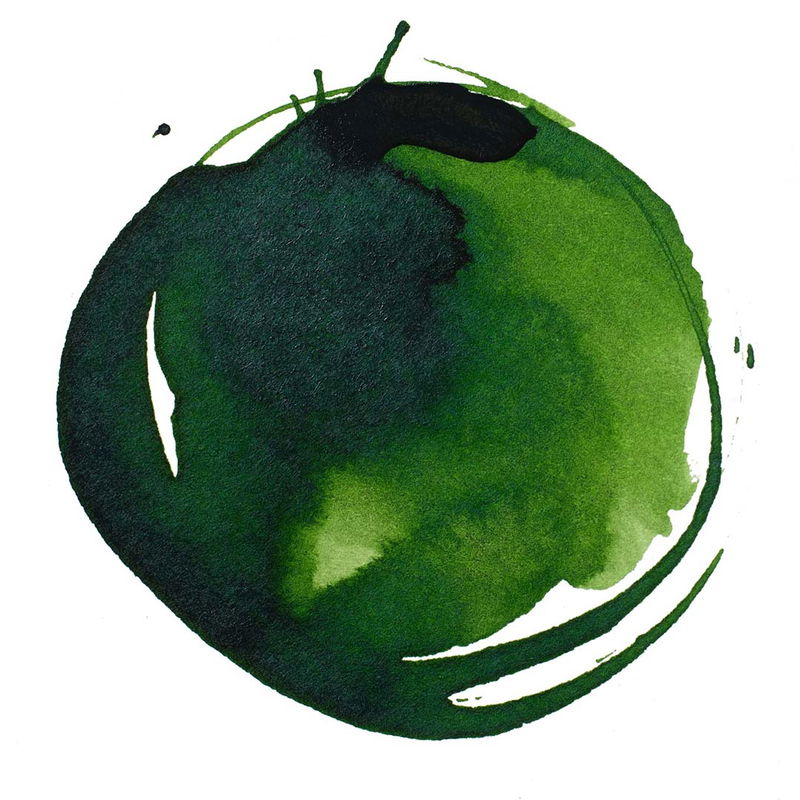 Sap Green Permanent färgprov Liquitex Acrylic Ink 30 ml