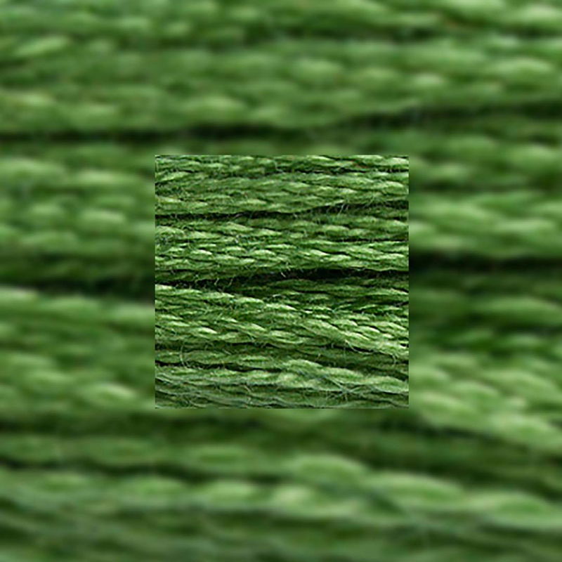 Närbild av separerbara 6 trådar bomull Medium Forest Green 988