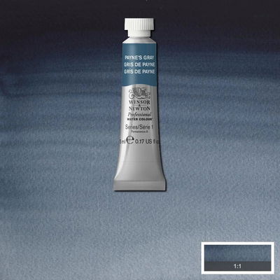 Winsor & Newton Professional Water Colour Payne's Gray i 5 ml tub som visas mot målad bakgrund i samma färg.