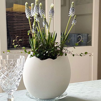 Drakägg av formgips med blomma i