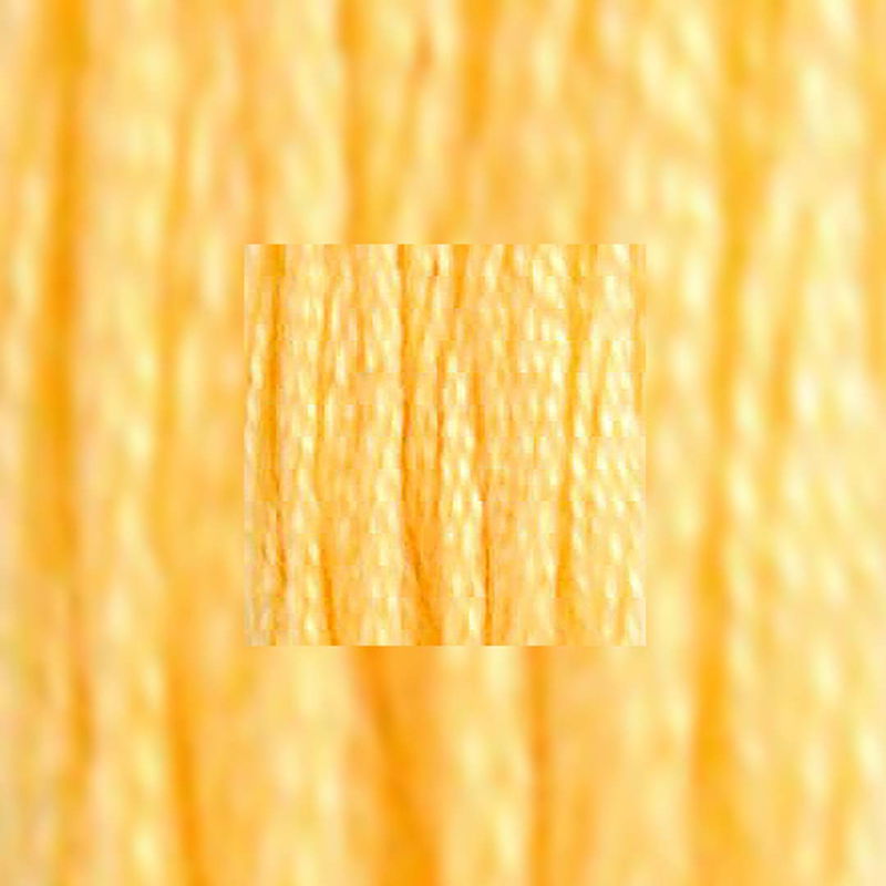 närbild av separerbara 6 trådar bomull Mouliné Spécial 19 Medium Light Autumn Gold
