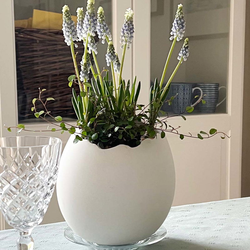 Drakägg av formgips med blomma i