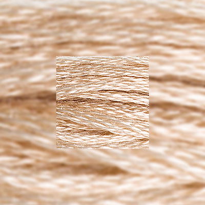 Närbild av separerbara 6 trådar bomull Very Light Beige Brown 842