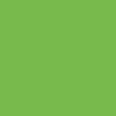 Färgprov Willow Green 173 Tombow ABT Dual Brush